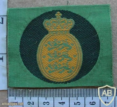 Denmark Army beret badge img10620