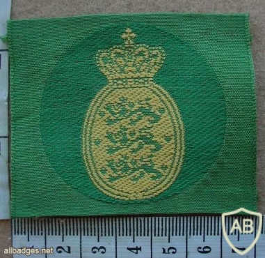 Denmark Army beret badge 2 img10622