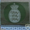 Denmark Army beret badge 1