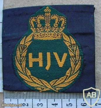 Denmark Army National Guard beret badge (Hjemmeværnet) img10623