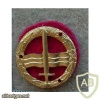 Danish Army combat swimmer qualification badge, gold img10634