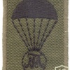AUSTRIA Army (Bundesheer) - Theresian Military Academy parachute qualification badge, cloth img10629