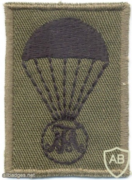 AUSTRIA Army (Bundesheer) - Theresian Military Academy parachute qualification badge, cloth img10629