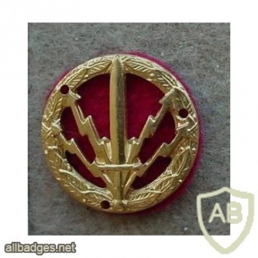 Danish Army signals specialist badge, gold img10638