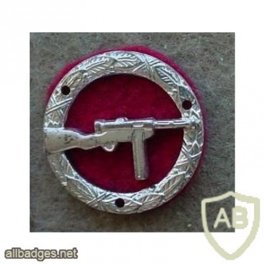 Danish Army sub-machine gun shooter qualification badge, silver img10632