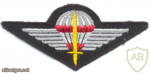 AUSTRIA Army (Bundesheer) - Jagdkommando Special Operations parachute wings, full color img10631