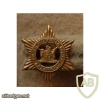 Gazankulu Police collar badge img10700