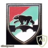 703rd Engineers Battalion badge, type 2