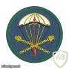 116th Separate Airborne Assault battalion of 31st Separate Guards Airborne Assault Brigade