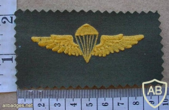 Honduras Army Basic paratrooper wings, combat dress img10980