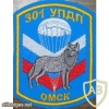 301st Training Airborne Regiment of 242nd Training Center