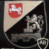 800th Technical Special Engineers Company