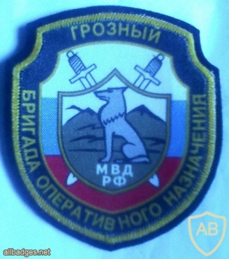 101th special operative purpose brigade img11265