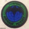 21st special purpose separate brigade, reconnaissance patch img11276
