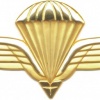 NORWAY Static line Parachutist wings, gold, full-size