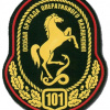101th special operative purpose brigade