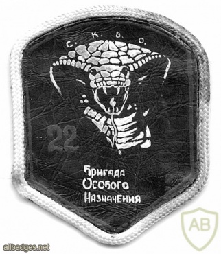 22nd special purpose separate brigade of internal troops Cobra img11242