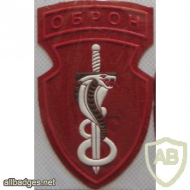 33rd special purpose separate brigade of internal troops img11243