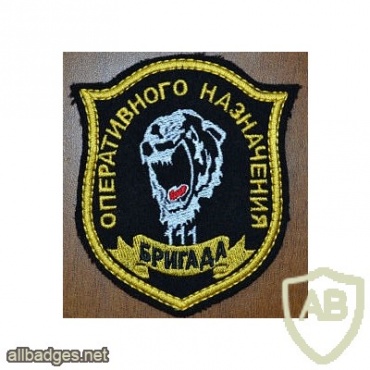 111th special operative purpose brigade img11271