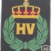 NORWAY Home Guard sleeve patch img11233