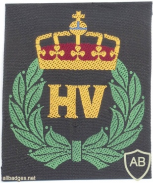 NORWAY Home Guard sleeve patch img11233