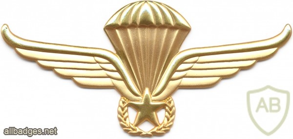 NORWAY Tactical Jump Parachutist wings, gold, full-size img11228
