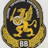 Shoulder patch for members of the High Command of Internal Troops of Russia img11314