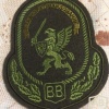 Shoulder patch for members of the High Command of Internal Troops of Russia img11313