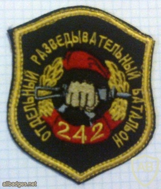 99th special purpose division, 242nd separate recon battalion img11289