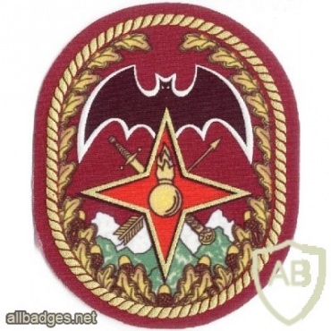 46th special purpose separate brigade, 352nd Separate Recon Battalion Mirage img11287