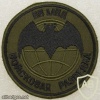Internal Troops Reconnaissance patch img11305