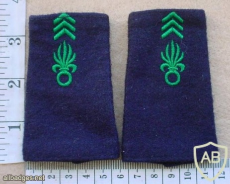 French Foreign Legion Legionaire 2nd Class epaulettes img11384