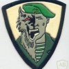 34th special purpose separate brigade, SF Group Oboroten' (Werewolf), fake patch img11557
