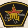 Special Forces of Internal Troops patch img11494