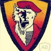 34th special purpose separate brigade, SF Group Oboroten' (Werewolf), original patch img11507