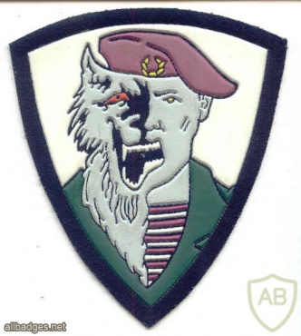34th special purpose separate brigade, SF Group Oboroten' (Werewolf), fake patch img11559