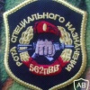562nd Regiment, SF Company patch