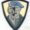 34th special purpose separate brigade, SF Group Oboroten' (Werewolf), fake patch img11558