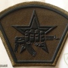 Special Forces of Internal Troops patch img11503