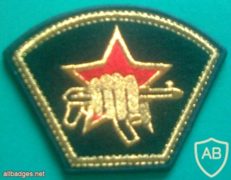 Special Forces of Internal Troops patch img11495
