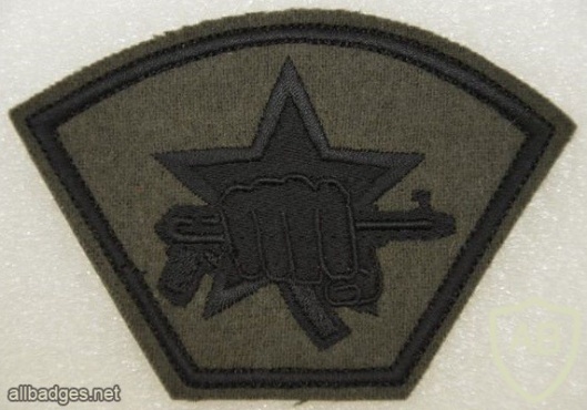 Special Forces of Internal Troops patch img11497
