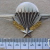 French basic paratrooper wings img11614