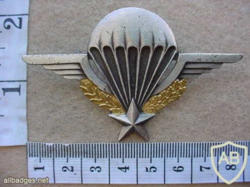 French basic paratrooper wings img11614