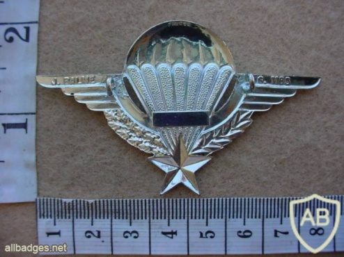 French basic paratrooper wings img11617