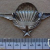 French basic paratrooper wings img11615
