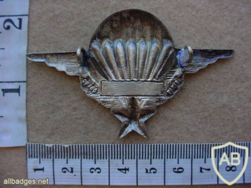 French basic paratrooper wings img11615