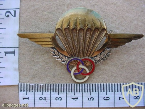 French Parachute Instructor wings img11619