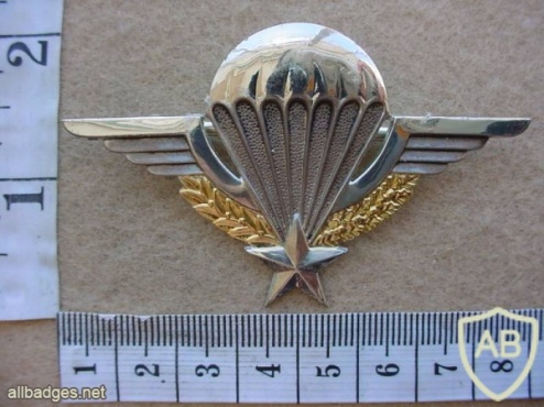 French basic paratrooper wings img11616