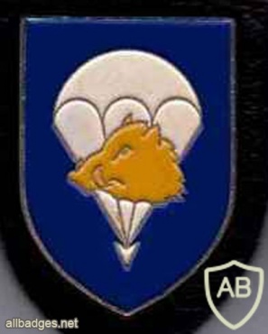 240th Airborne Field Replacement Battalion img11636