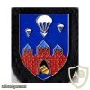 310th Airborne Field Replacement Company